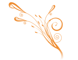 Ambiance provençale - Environnement méditerranéen